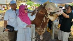 Luar Biasa, Bacaleg Partai Perindo Banten Ratu Siti Romlah Berkurban Sapi 1,6 Ton di Serang