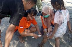 Ubur-Ubur Bermunculan di Pantai Parangtritis, Ratusan Wisatawan jadi Korban Sengatan<