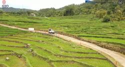 Kampung Unik di Sulawesi Selatan, Hanya di Desa Ini Bisa Ditemukan Beras Merah untuk Kesehatan