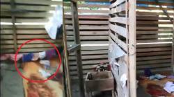 Warga Temukan Tumpukan Celana Dalam Wanita di Gudang Kosong, Diduga untuk Fantasi Seks<