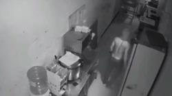 Terekam CCTV Gondol Uang di Restoran, Pemuda Asal Padang Dijemput Polisi