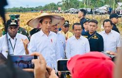 Presiden Jokowi Bertemu Pelajar hingga Resmikan Papua Street Carnival di Papua Hari Ini