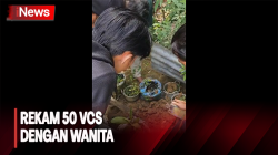 Rekam 50 VCS dengan Wanita, Polisi Tangkap Pemuda di Nunukan <