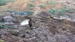 Tebing 100 Meter di Sukanagara Garut Longsor Timbun Persawahan, 1 Orang Hilang