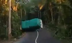 Detik-Detik Truk Serbuk Sengon di Pacitan Terguling gegara Tersesat Ikut Google Maps<