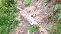 Sejumlah Jasad Keluar dari Kubur di Padang, Diduga gegara Tergerus Banjir