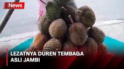 Rasanya Maknyus! Duren Tembaga Asli Jambi Banyak Diserbu Pembeli
