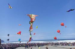 Jogja International Kite Festival 2023 Sumbang PAD Bantul Rp377,8 Juta