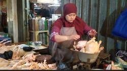  Harga Ayam di Banjarnegara Masih Mahal, Warga Beralih Konsumsi Ikan
