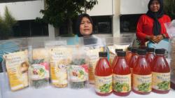 Kreatif dan Inovatif, Warga Pekalongan Ini Manfaatkan Mangrove Jadi Ladang Cuan