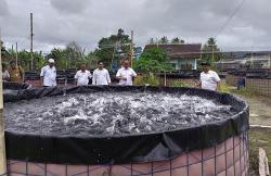 Dinas Kelautan dan Perikanan Bantul Genjot Produksi Ikan Air Tawar Tembus 13.500 Ton <