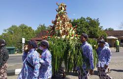 Meriah, Kirab Budaya Sitimulyo Bantul Rebutkan 2 Gunungan Ingkung Ayam