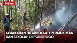 Kebakaran Hutan Kepung 2 Desa di Ponorogo, Kobaran Api Dekati Permukiman dan Sekolah