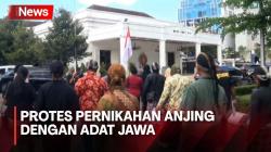 Pernikahan Anjing dengan Adat Jawa Viral, Penggiat Budaya Datangi DPRD DIY