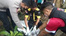 Geger, Warga Jonggol Temukan Mayat Bayi Laki-laki dalam Kantong Belanja