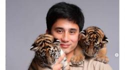 Alshad Ahmad Panen Kritik usai Harimau Peliharaannya Mati, Aktivis Lingkungan: Satwa Liar Hidup di Hutan Bukan di YouTube<