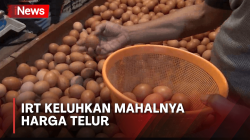 Pasca Iduladha Harga Telur Naik, IRT di Cimahi Mengeluh<