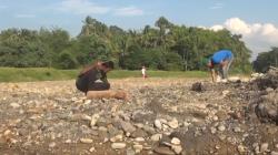  Sungai Mengering, Warga Bireuen Aceh Aji Mumpung Berburu Batu Akik