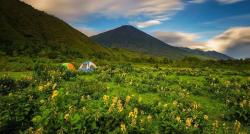 Surga Tersembunyi di Gunung Rinjani, Unik Ada Savana Hijau Mirip Permadani Raksasa 