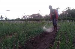 Khawatir Lahan Diserobot Investor, Petani Pesisir Bantul Berharap Sultan Beri Kekancingan <