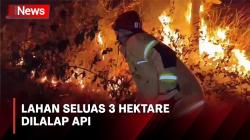 Api Lalap 3 Hektare Lahan Hutan Jati di Pangandaran Diduga dari Sisa Pembakaran Sampah