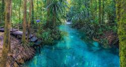 Surga Tersembunyi di Raja Ampat, Singgah ke Kampung Warsambin Suasananya seperti Negeri Dongeng 