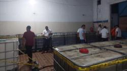 Prajurit Kodam Bukit Barisan Gerebek Gudang Penimbunan BBM di Medan, Sita 60 Ton Solar