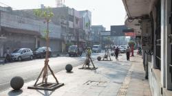 OTW Bandung Teduh, 100 Pohon Pule Ditanam di Jalan Sudirman