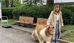 Pria Ini Berubah Jadi Anjing, Lalu Jalan-Jalan di Muka Umum Layaknya Binatang Sungguhan