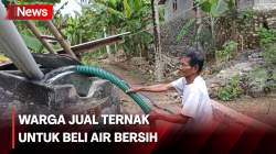  Miris! Alami Kekeringan, Warga Gunungkidul Jual Ternak untuk Beli Air Bersih 