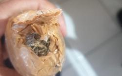 Petugas Lapas Kelas I Malang Temukan Paket Ganja yang Dilempar dari Luar Pagar 