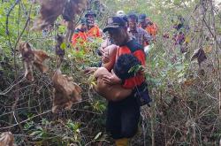 Remaja Bantul yang Hilang di Hutan Dlingo Ditemukan, Kondisinya Lemas dan Bercelana Pendek