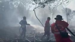 Kebakaran Lahan Semakin Meluas di Palangkaraya, Kobaran Api Dekati Permukiman