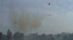 1.437 Hektare Lahan di Kalimantan Selatan Terbakar, Terdapat 4.543 Titik Api