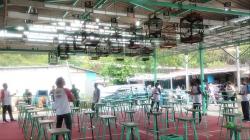 Lomba Kicau Burung Sukses, Partai Perindo Didoakan Menang di Pemilu 2024