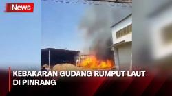 Gudang Perusahaan Rumput Laut di Pinrang Ludes Terbakar