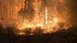 Kebakaran Hutan Dahsyat di Kanada, 4 Petugas Damkar Tewas dan 35.000 Orang Dievakuasi<