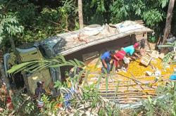 Kecelakaan di Kulonprogo Hari Ini, Truk Bermuatan Jeruk Terjun ke Jurang 1 Penumpang Tewas<