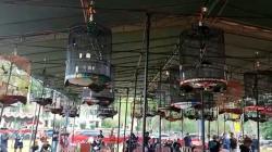 Berhadiah Motor, Festival Kicau Mania Berlangsung Seru di Banyuasin