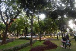 Penambahan 800 Titik Ruang Terbuka Hijau untuk Kurangi Polusi Jakarta