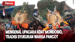 Upacara Adat Mondosio, Tradisi Syukuran Warga Poncot dengan Berebut Ayam  <