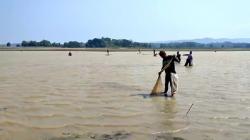 Waduk Sedong Cirebon Mengering, Warga Beburu Ikan secara Massal