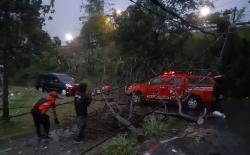 Hujan Angin Landa Kota Bogor, BPBD: Ada 13 Kejadian Bencana