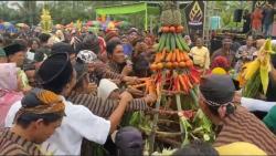 Peringatan 1 Abad Desa, Ribuan Warga Paseh Banjarnegara Berebut Gunungan Umbi dan Sayuran