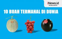 Infografis 10 Buah Termahal di Dunia