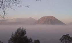Kebakaran Savana Gunung Bromo Padam, Bukit Teletubbies Masih Ditutup
