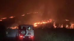 Pengakuan Wisatawan Dahsyatnya Kebakaran di Gunung Bromo: Bak Lidah Api Tertiup Angin
