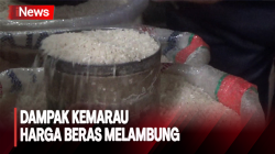 Harga Beras Meroket di Pasar Tradisional Purwakarta, Dampak Kemarau Panjang