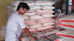   Harga Beras di Kulonprogo Merangkak Naik, Disdagin Siapkan Operasi Pasar<