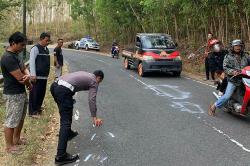 Kecelakaan di Gunungkidul, Pemotor Tewas Adu Banteng dengan Pikap